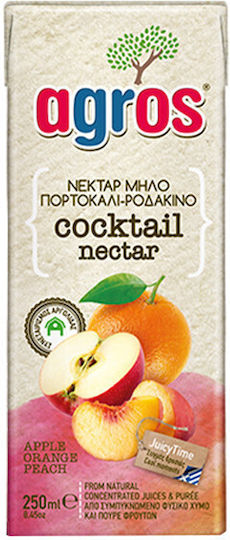 Agros Suc 250ml Cocktail Bautură de Fructe Măr-Portocală-Piersică