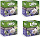 Loyd Black Tea 80 Bags