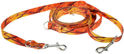 4wild.eu Hundeleine/ -führer Riemen Orange