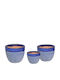 Fankon Flowers Planter Blue