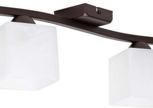 Light Home Double Spot in White Color