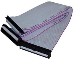Ata 100 Hard Drive Cable 1x Female Ata 2x Female Ata 0.45 M 40 Pins Ata100 Gray Logo Packaging Hang Tag