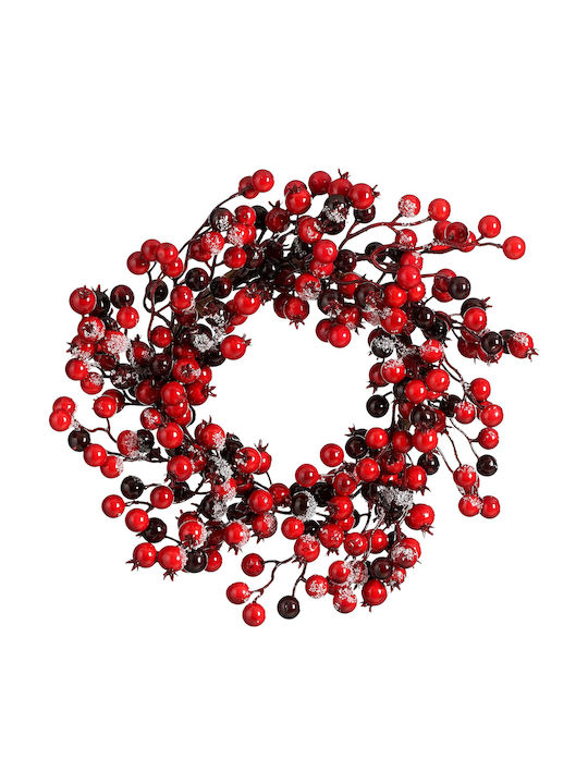 Χριστουγεννιάτικο Στεφάνι Φ30 Edelman Wreath 1184971 Φ30