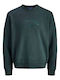 Sweat Sweatshirt Green