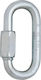 Edelrid Screwlink 10mm Silver