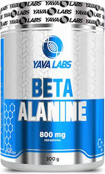 Yava Labs Beta Alanine 800mg 300gr Unflavoured