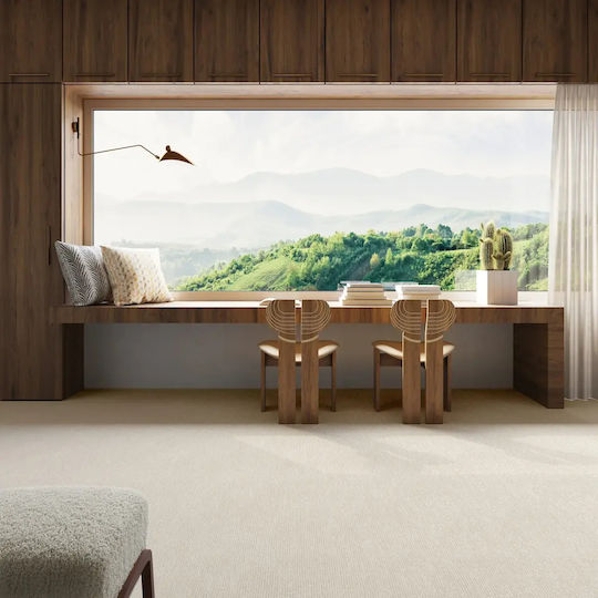 Carpet Sarno 03 Decostar White Price Per Meter