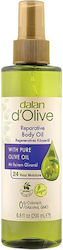 Dalan Body Oil Dalan Body Oil