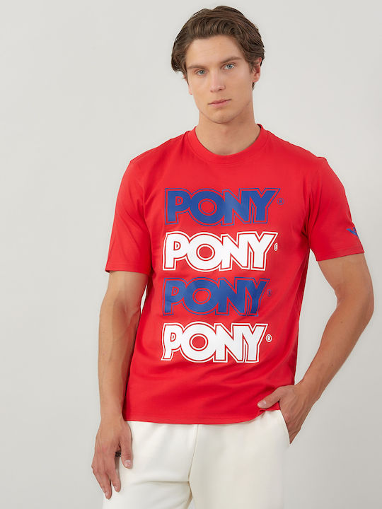 Pony