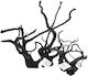 Aquadeco Black Moor Wood L 40-45cm Per Piece