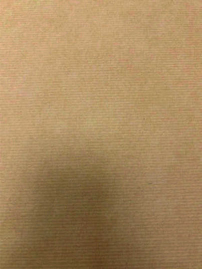 Iliopoulos Дебел Крафт 90gr Подложки за чинии 30x40см. 500бр