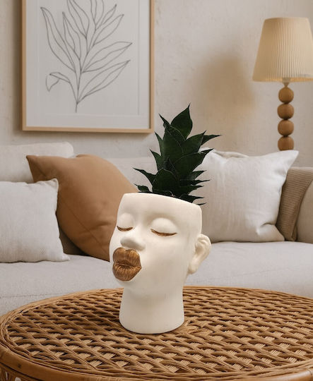 Sansevieria Ghiveci Ceramic Buze Aurii