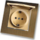 Power Socket Security Lid Gold Matte Single Rec...