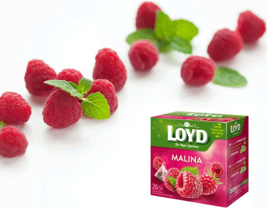 Loyd Herbal Tea Loyd Raspberry 20 Pyramids