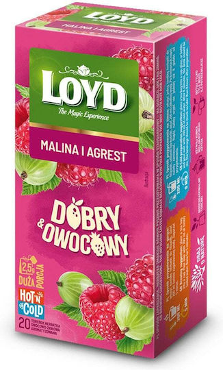 Loyd Чай Hot Cold Малиново и Касисово 20x2.5g