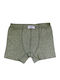 Biyo Green