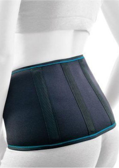 Orliman Belt Rib with Stays Height 20cm in Black color