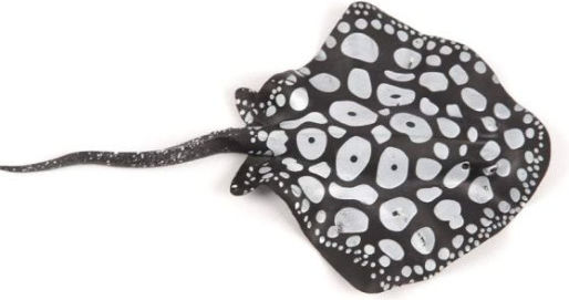 Ad Leuchtende Stachelrochen Typ3 Schwarze