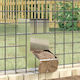 vidaXL Metal Feeder for Rabbits with Capacity 1...