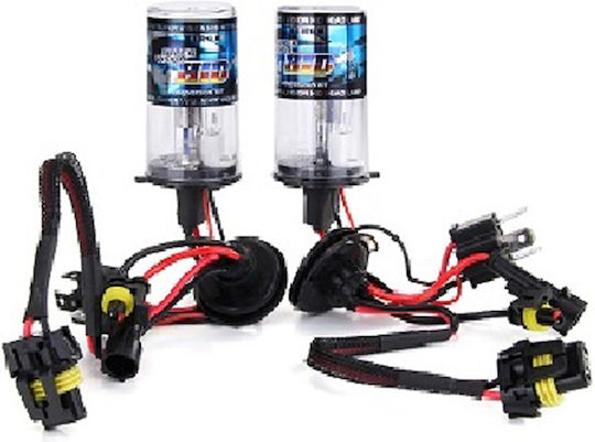 Lamps Car H11 Xenon 8000K Cold White 12V 35W 2pcs