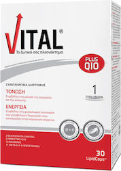 Vital Plus Q10 30 софтджел