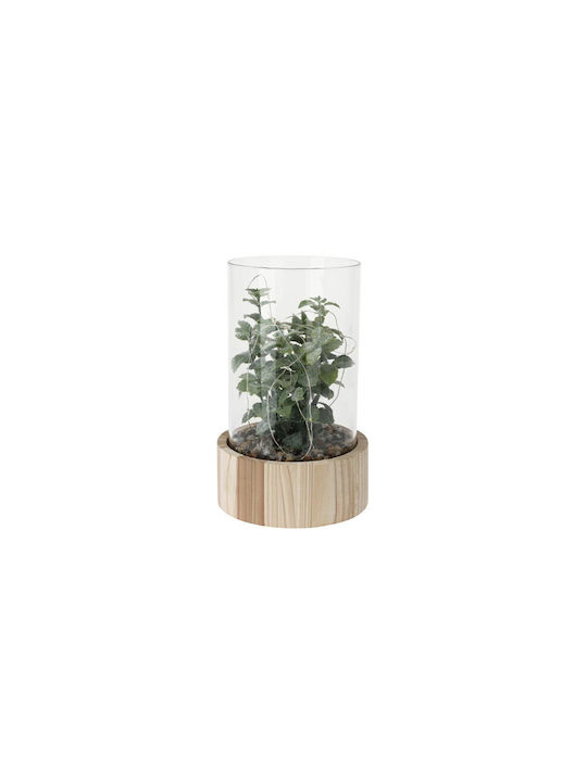 Decorative Artificial Flower Mint in Glass Vase and Wooden Base White 23cm with LED