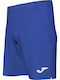 Herrenshorts Blau