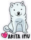 Akita