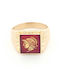 Herren Ring mit Steinen aus Gold 14K