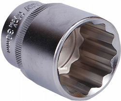 Honiton Socket Honiton Socket