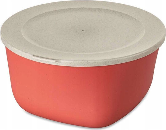Koziol Cutie De Prânz Din Plastic Transparentă 4lt
