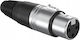 Procab Μετατροπέας XLR female σε XLR female 1τμχ VC3FX
