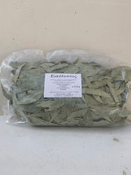 HealthTrade Ευκάλυπτος 1000gr G96308