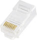 Microconnect Plug RJ-45 100pcs (CON5UTP)