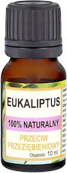 Αιθέριο Έλαιο Ευκάλυπτος 10ml