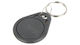 Atlo Rfid Proximity Keychain Atlo-504n/g