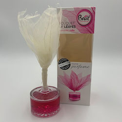 Brait Diffusor Magnolie 50ml