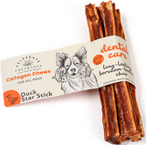 Celebrate Freshness Bone Training Calcium for Dogs with Flavor Duck 12.5cm 4pcs