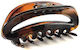 Donegal Donegal Schnalle Bernstein Fa-5801 275801-fa