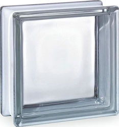 Glass Block Transparent 19x19x8