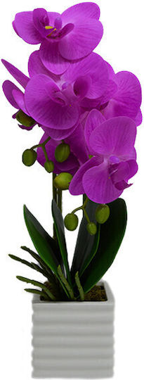 Velve Planter Ceramic Purple
