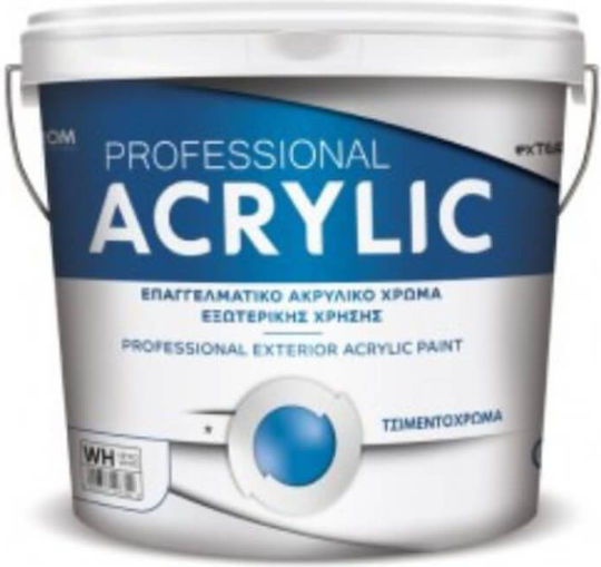 Pellachrom Professional Acrilyc Пластмасова Външна Употреба Сив 3л