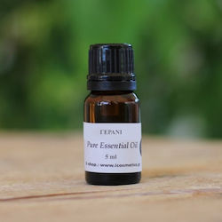 ICosmetics Ätherisches Öl Geranie 10ml ICosmetics Ätherisches Öl Geranie 10ml