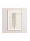 Pakketo Sed Painting Oil Painting Wooden 33x48cm