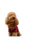 Noidinotte Cotton Red Checked Buttoned Dog Romper Code Tr1460