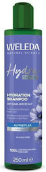 Weleda Hydrashine Hidratare 250ml