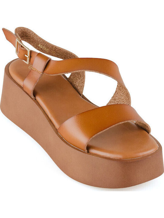 Women's Ankle Strap Platforms Brown