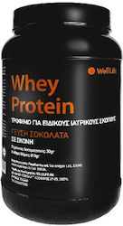 WellLife Ciocolata 810gr