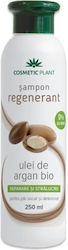 Șampon Regenerator cu Ulei de Argan 250ml Șampon Regenerator cu Ulei de Argan 250ml