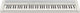 Casio Keybaord CT-S1-76WEC7 cu 76 Taste Alb